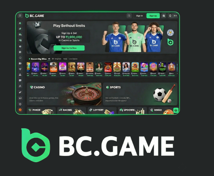 Discover the Thrill of BC.Game Online Crypto Casino